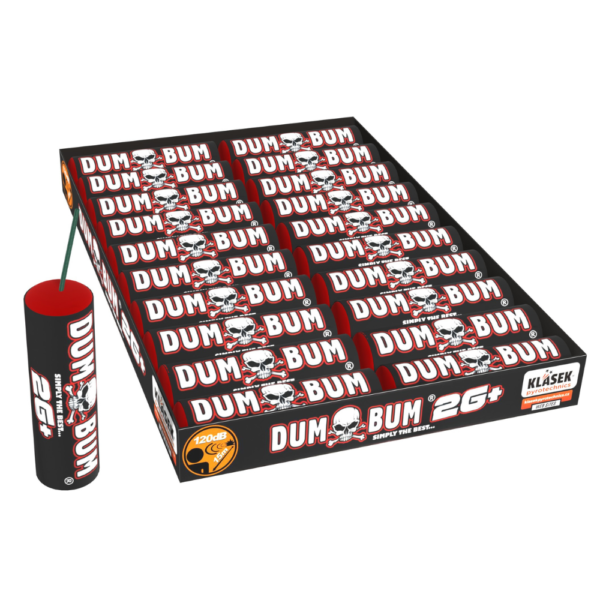 DUMBUM P5DU13 2G+ F3