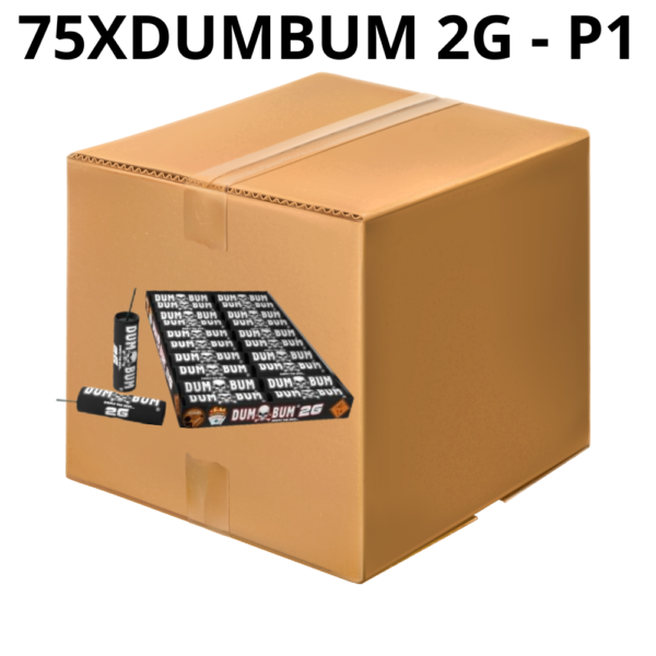 FULL BOX DUMBUM 2G - P1