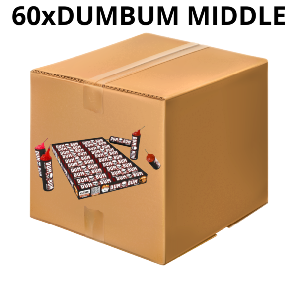 FULL BOX DUMBUM MIDDLE X60